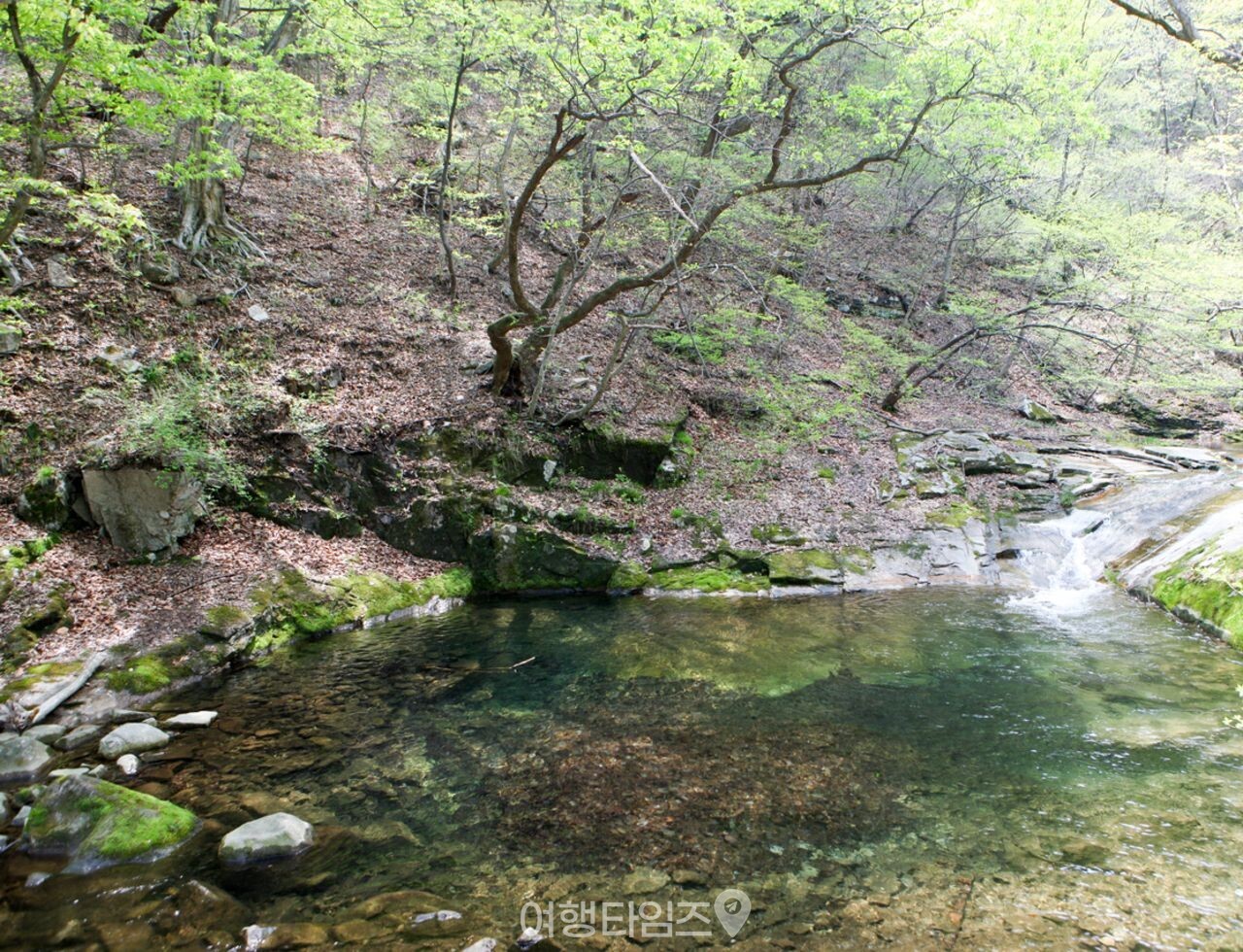 동학사계곡 / 한국관광콘텐츠랩-김지호