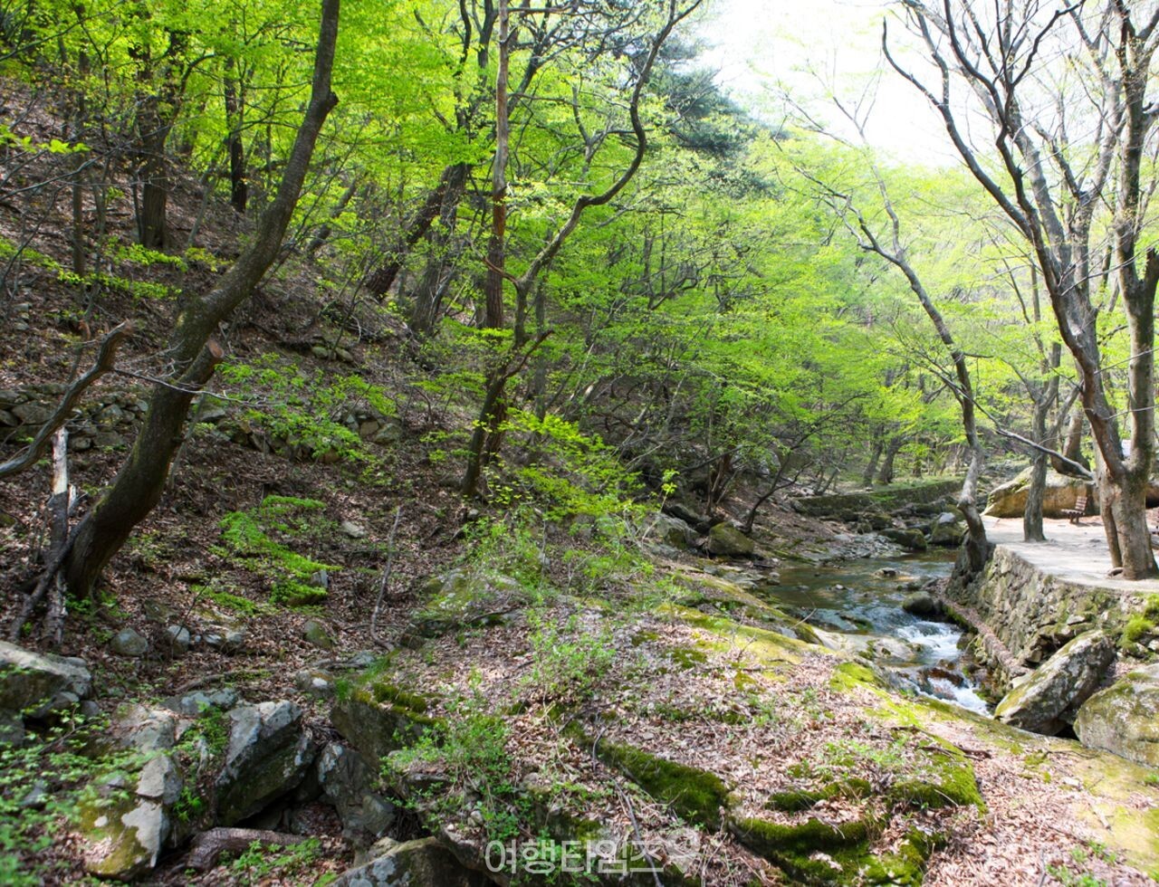 동학사계곡 / 한국관광콘텐츠랩-김지호