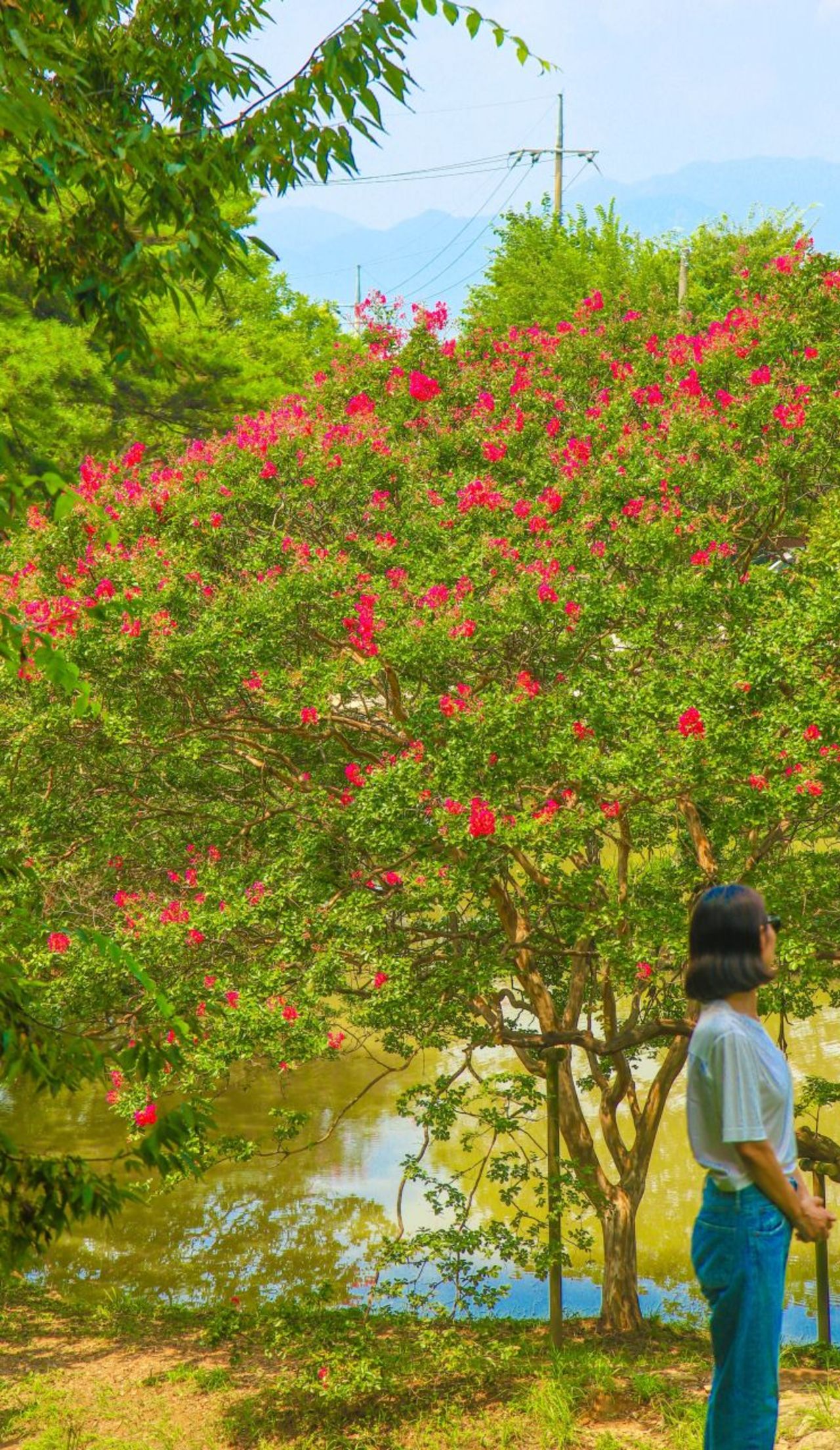 담양 명옥헌 원림 / 한국관광콘텐츠랩-김지영