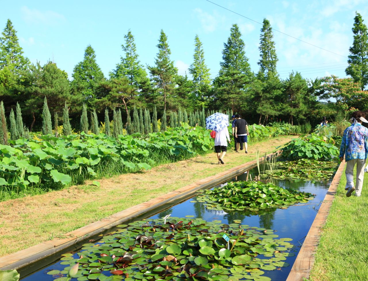 청산수목원 / 한국관광콘텐츠랩-김지호