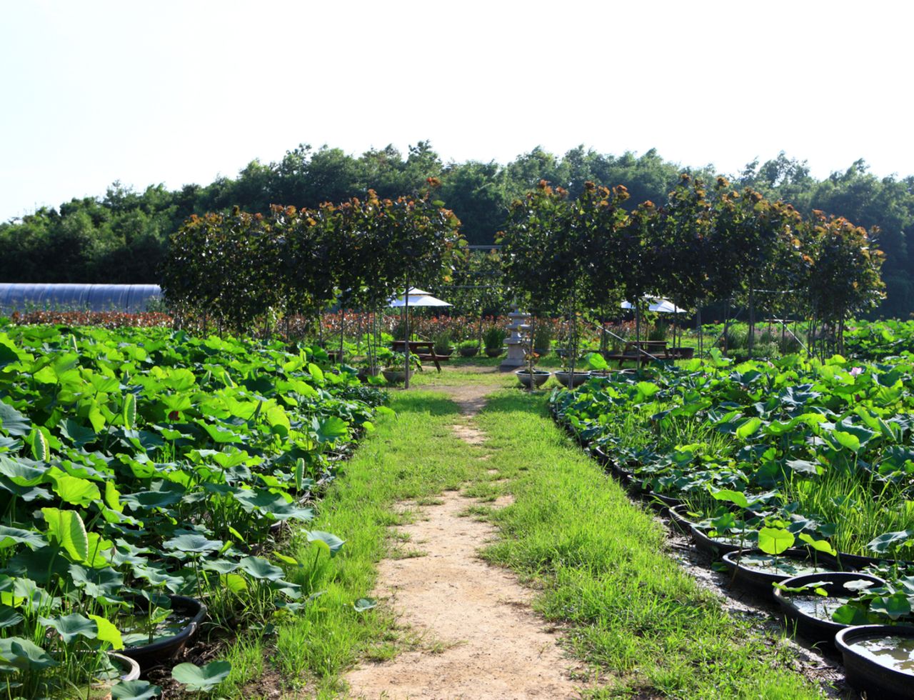 청산수목원 / 한국관광콘텐츠랩-김지호