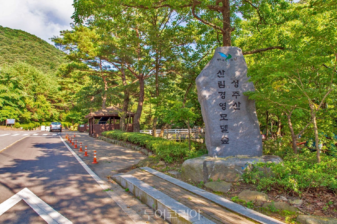 성주산자연휴양림 /사진-보령시