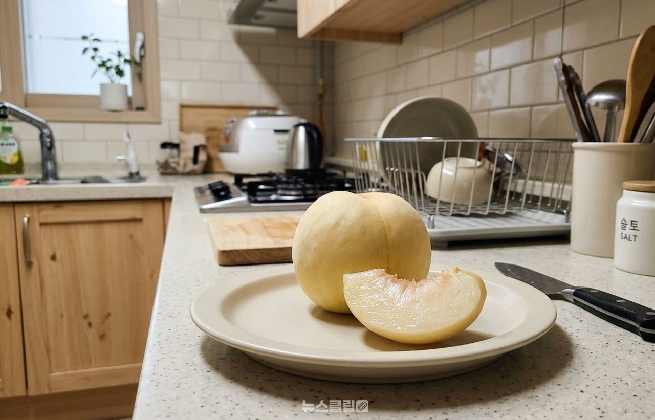 복숭아 백도 황도 / 기사 이해를 돕기 위한 AI 이미지