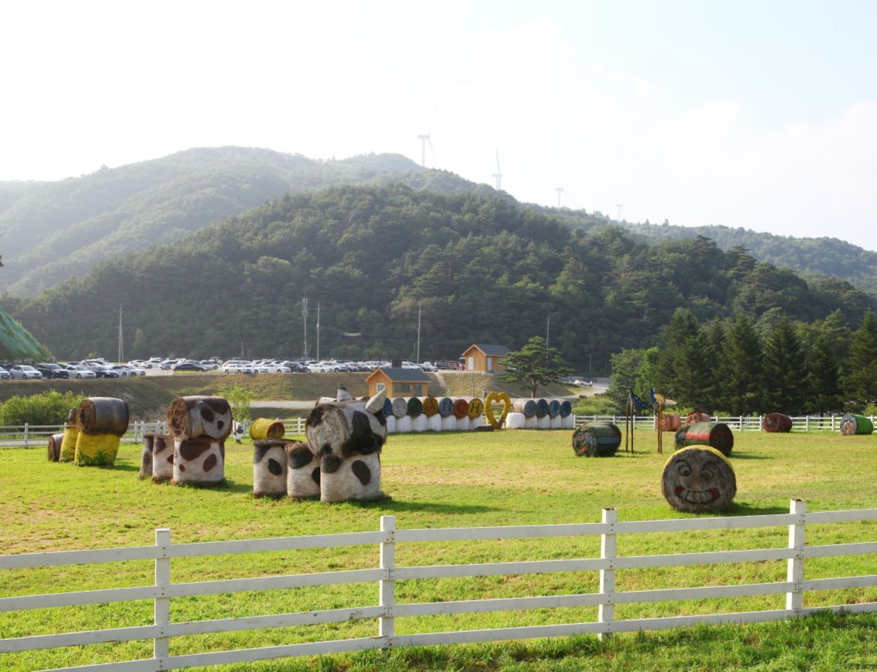 대관령 하늘목장 / 한국관광콘텐츠랩-이범수
