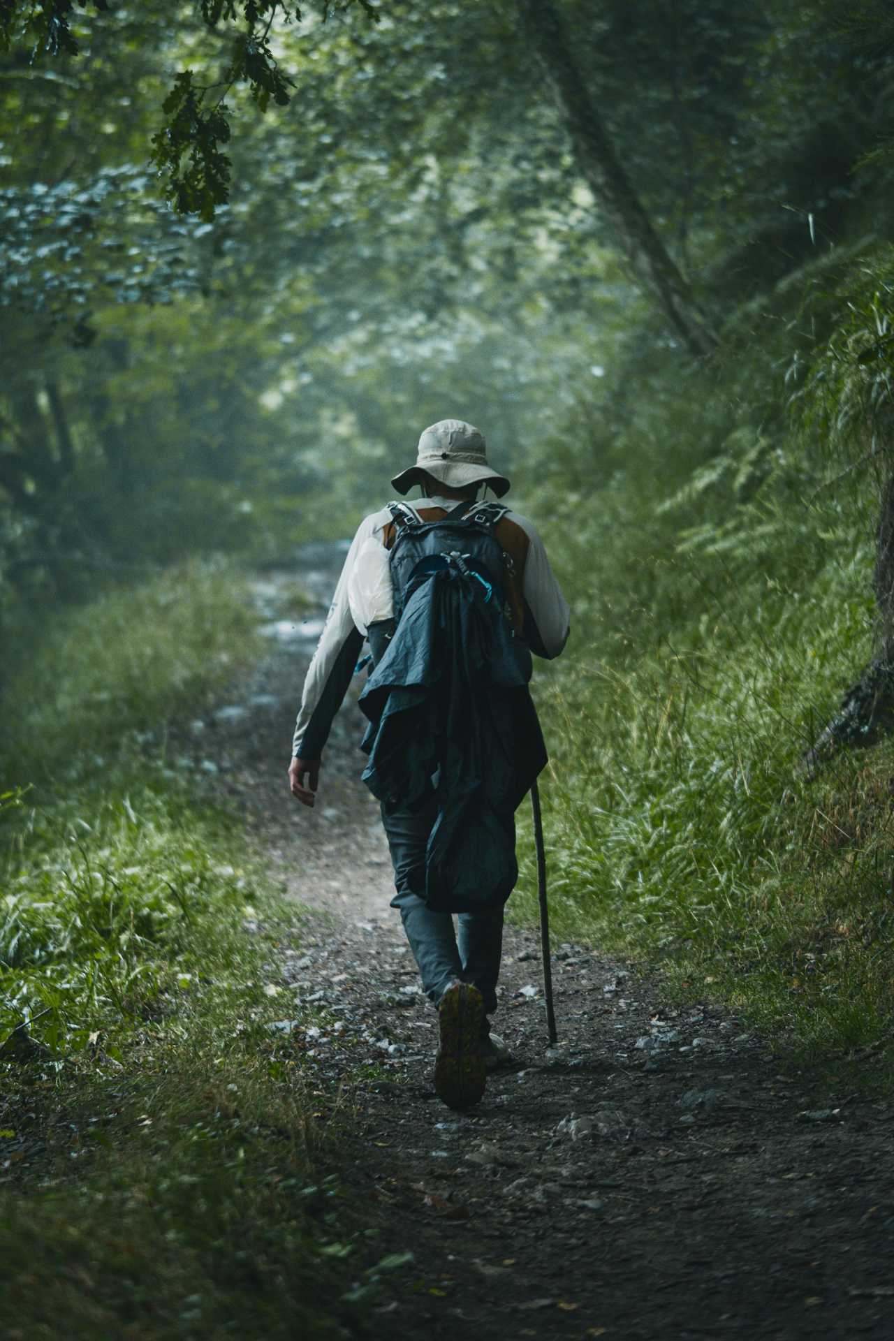 카미노 데 산티아고 순례 / 사진=unsplash