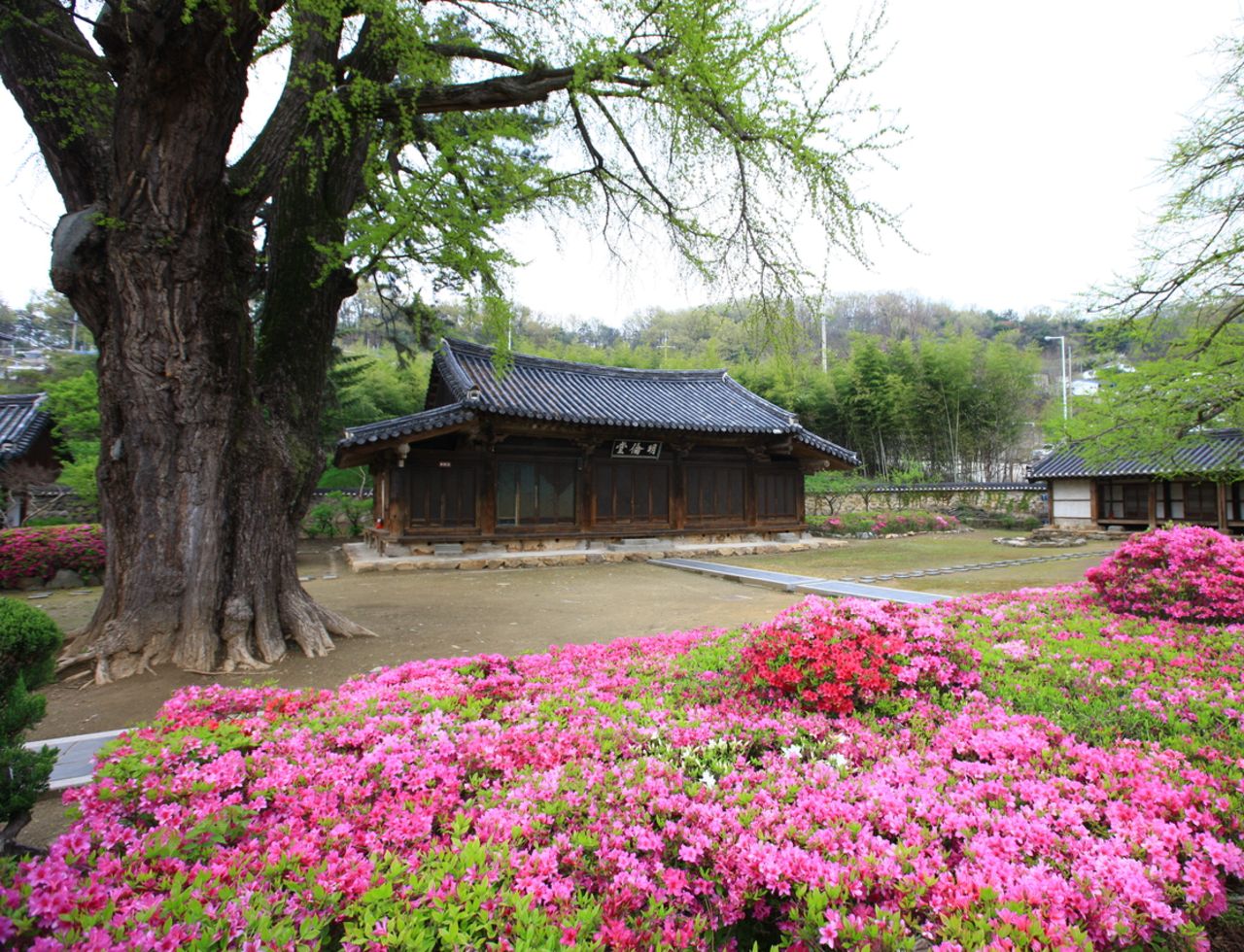 전주향교 / 한국관광콘텐츠랩-김지호