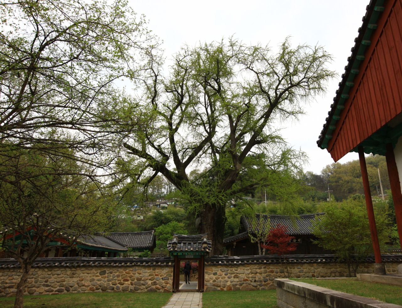 전주향교 / 한국관광콘텐츠랩-김지호