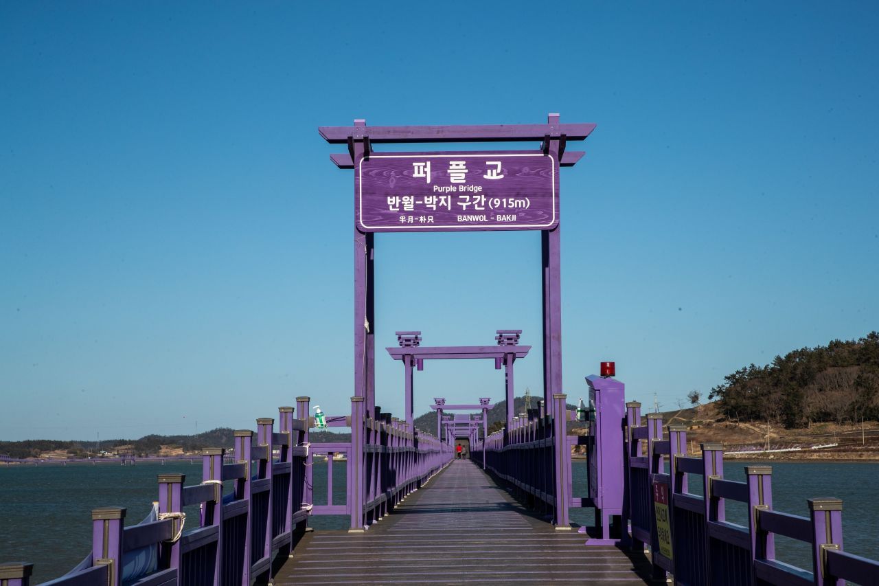 퍼플섬 / 한국관광콘텐츠랩-이범수