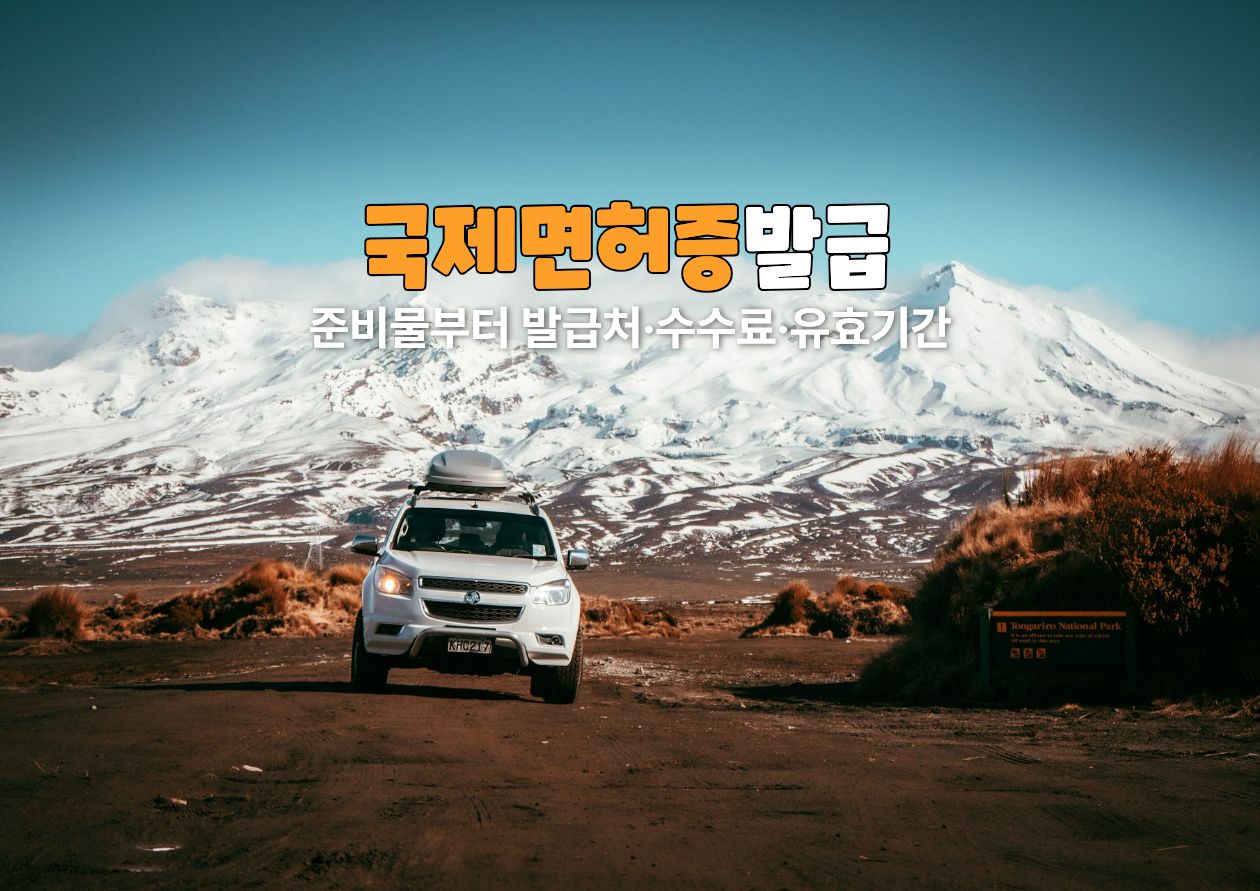 국제면허증 발급 방법 / ⓒ인포매틱스뷰