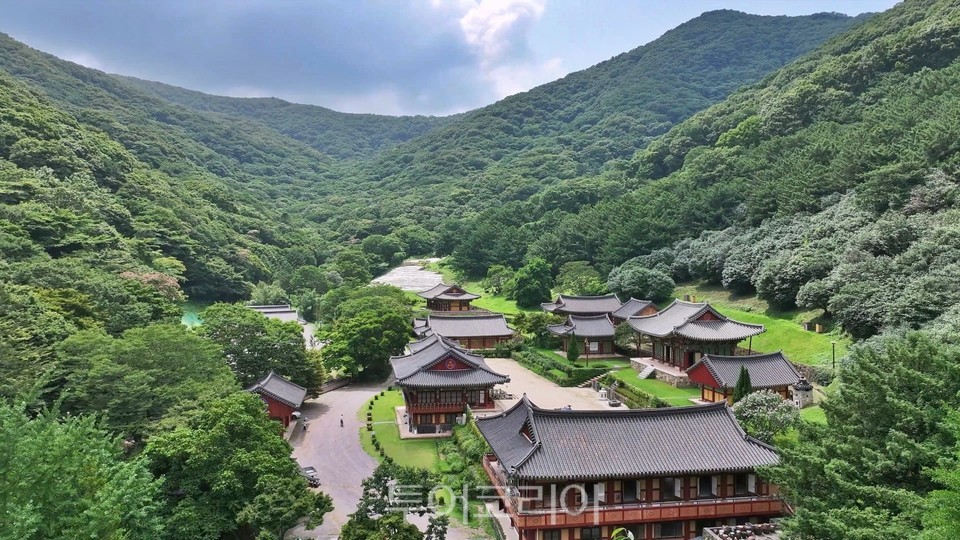 나주 불회사와 사찰경관림 전경/사진-국가유산청