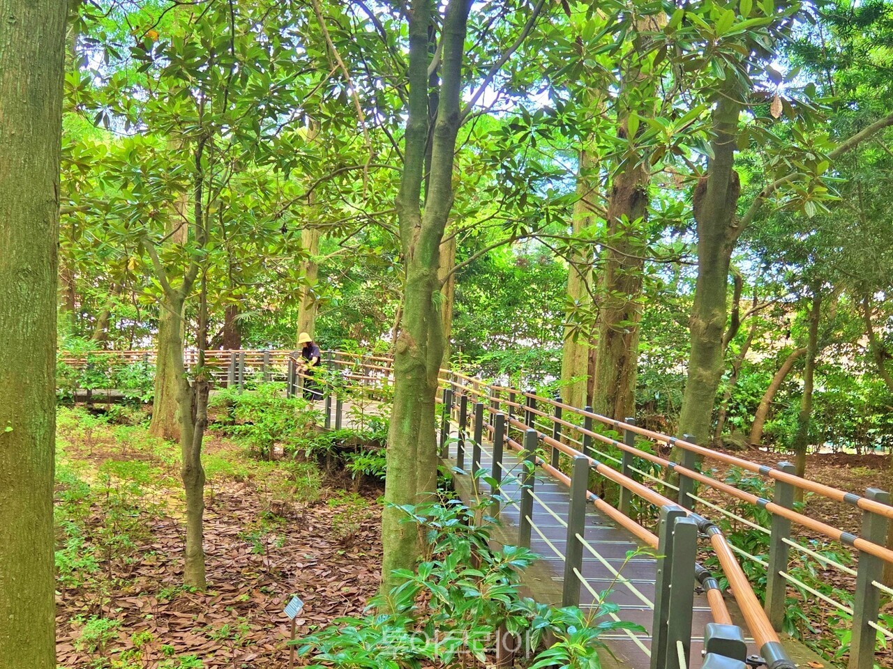 한라수목원 ⓒ투어코리아