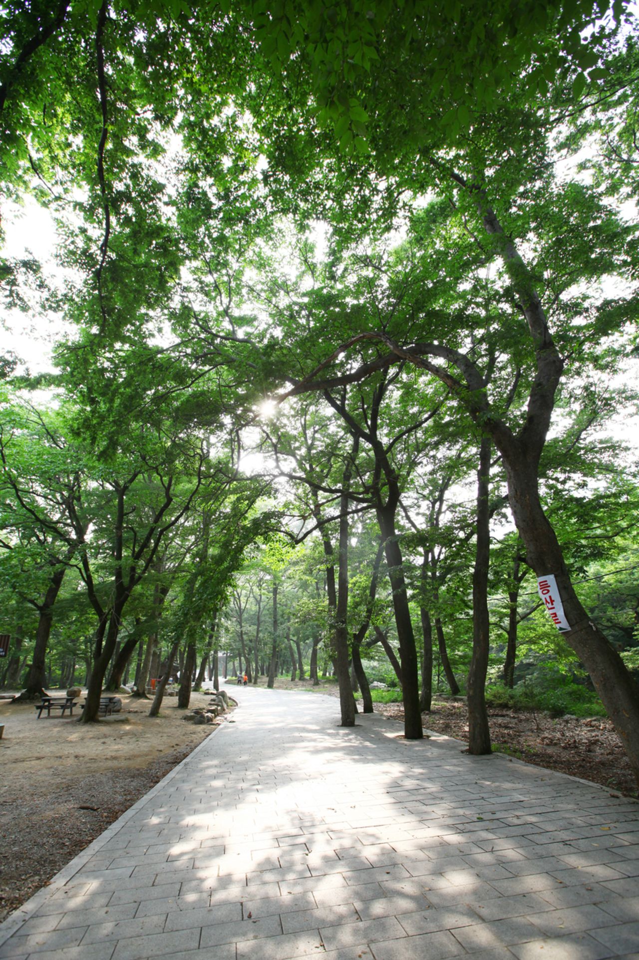 밀양 표충사 / 한국관광콘텐츠랩-이범수