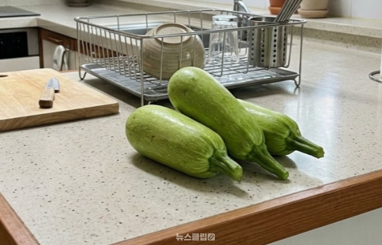 애호박 / 기사 이해를 돕기 위한 AI 이미지