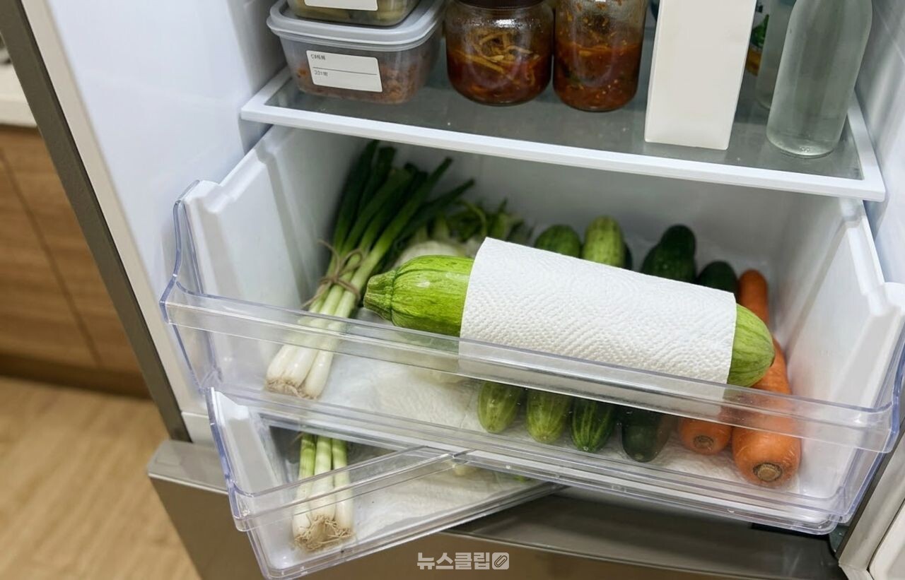 애호박 / 기사 이해를 돕기 위한 AI 이미지
