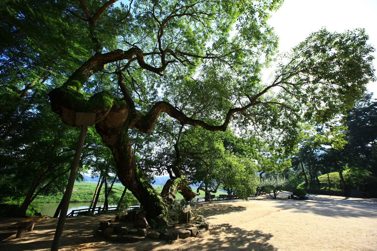 도산서원 / 한국관광콘텐츠랩-김지호