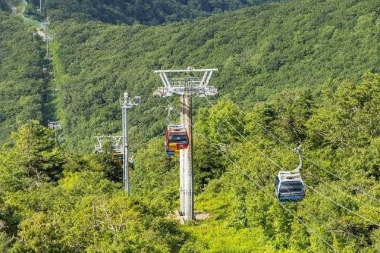 발왕산 케이블카 / 사진=한국관광콘텐츠랩