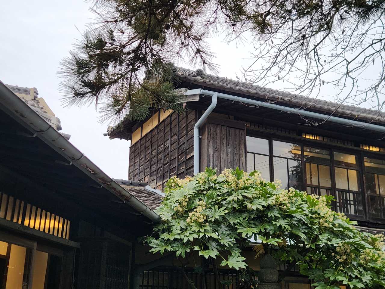 일본식가옥 / 직접촬영