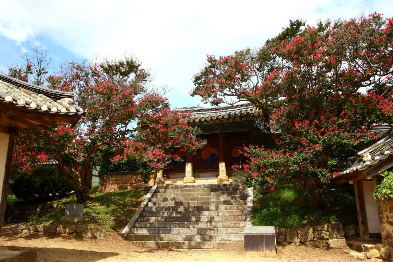 병산서원 배롱나무꽃 / 사진=한국관광공사 포토코리아@이범수