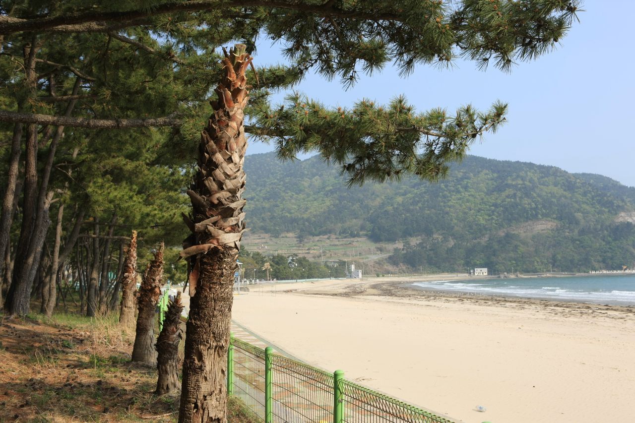 남해군 송정솔바람해변 / 한국관광콘텐츠랩-박성근
