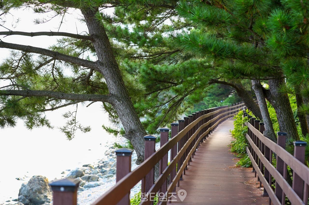 거제 몽돌해변 / 한국관광콘텐츠랩-BOKEH