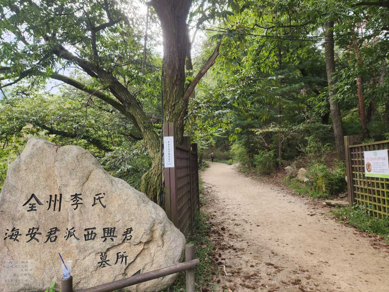 스트레스 해소 / 직접촬영