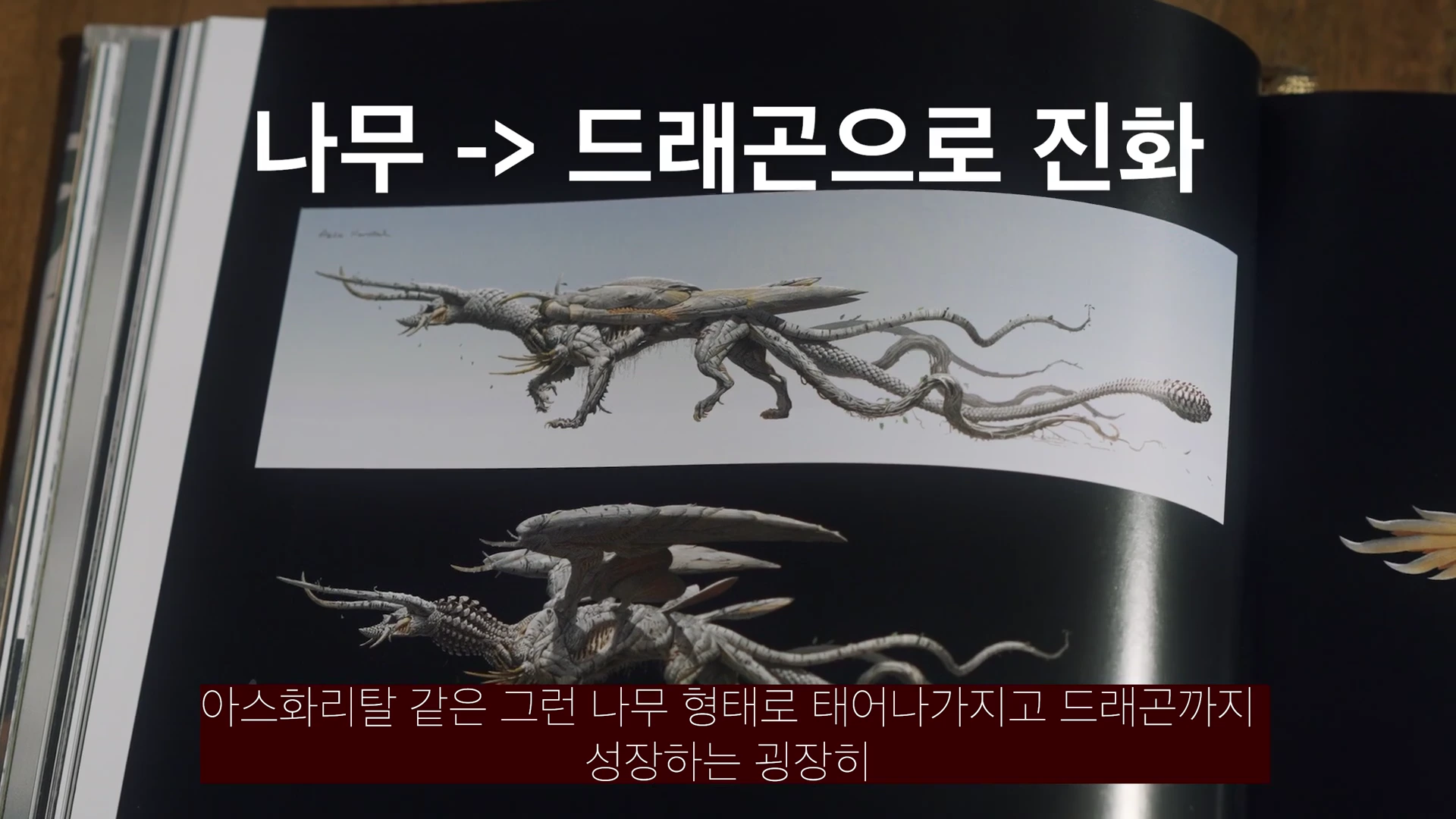 펼쳐진 아트북 페이지 위에 나무에서 드래곤으로 진화하는 크리처의 콘셉트 아트가 실려 있고, 상단에 흰색 자막으로 '나무 -> 드래곤으로 진화'라고 적혀 있습니다.