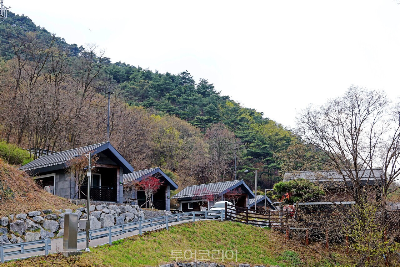 성불산 자연휴양림 /사진-괴산군