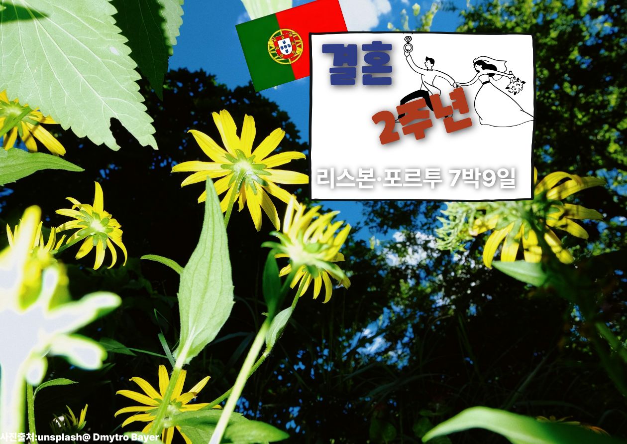 리스본·포르투 7박9일, 결혼 2주년 부부여행 / ⓒ인포매틱스뷰