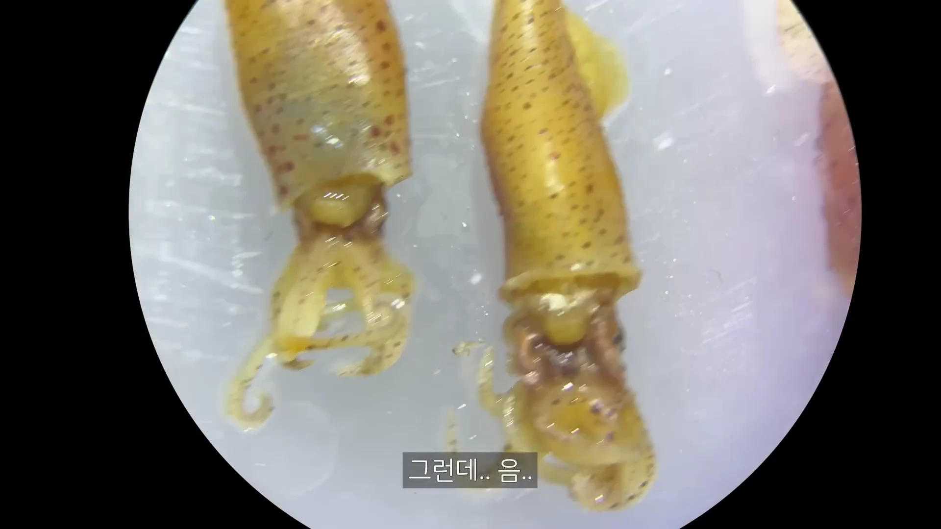 04:36 프레임