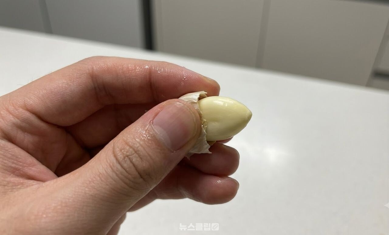 마늘 / 기사 이해를 돕기 위한 AI 이미지