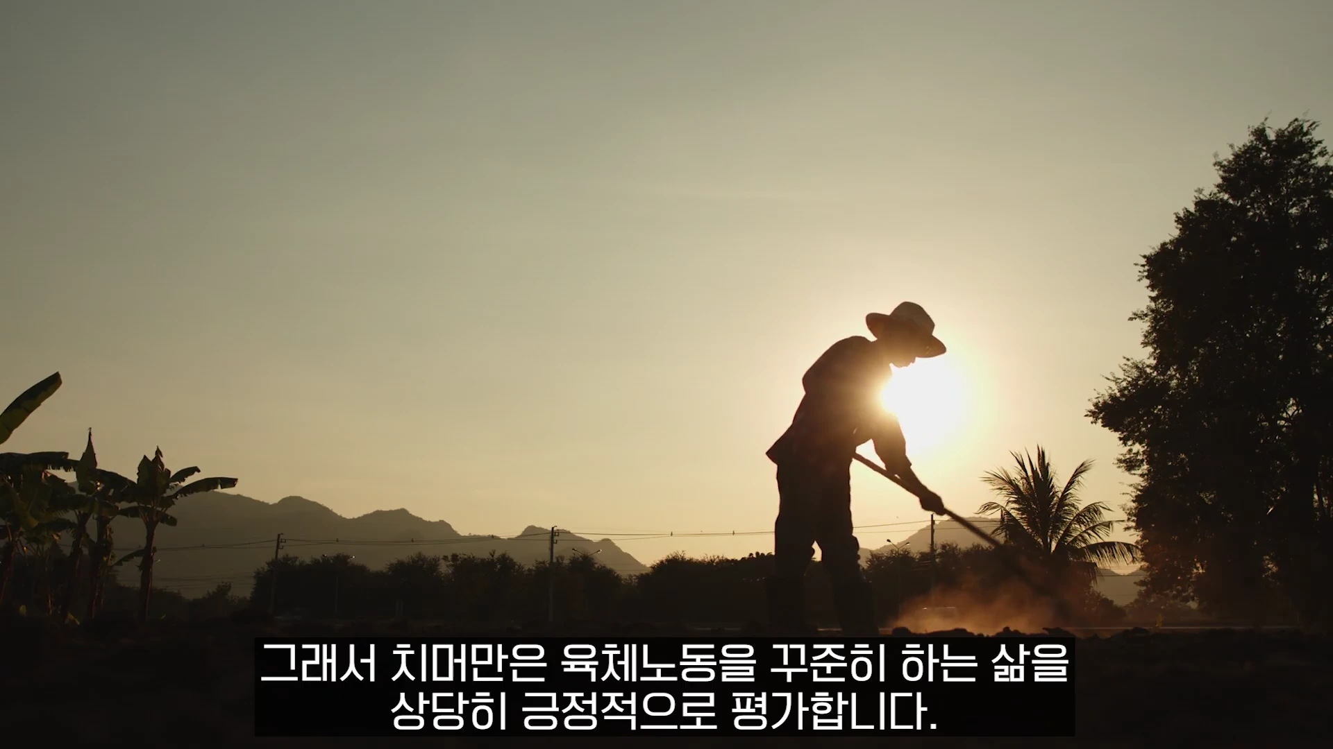 노을지는 들판에서 밀짚모자를 쓴 사람이 농기구를 이용해 밭을 일구고 있는 실루엣 이미지.