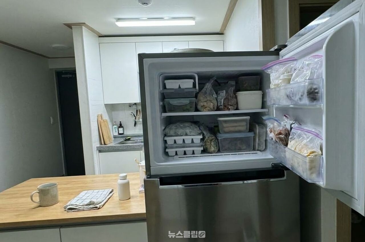 냉장고 정전 / 기사 이해를 돕기 위한 AI 이미지