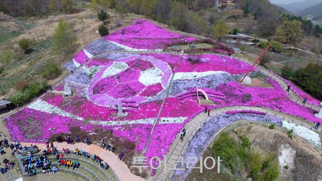산청 생초 국제조각공원 꽃잔디 /서잔-산청군