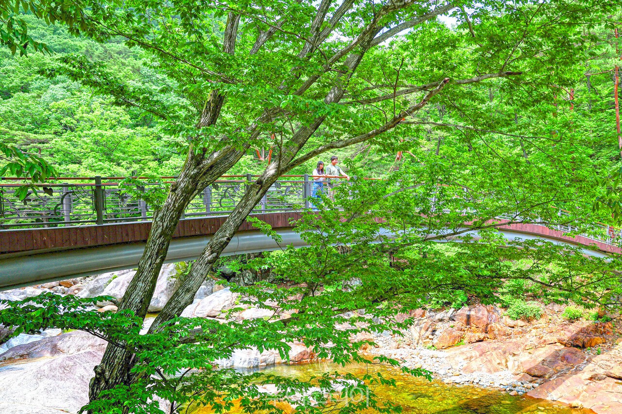 산청 대원사계곡길  /사진-산청군