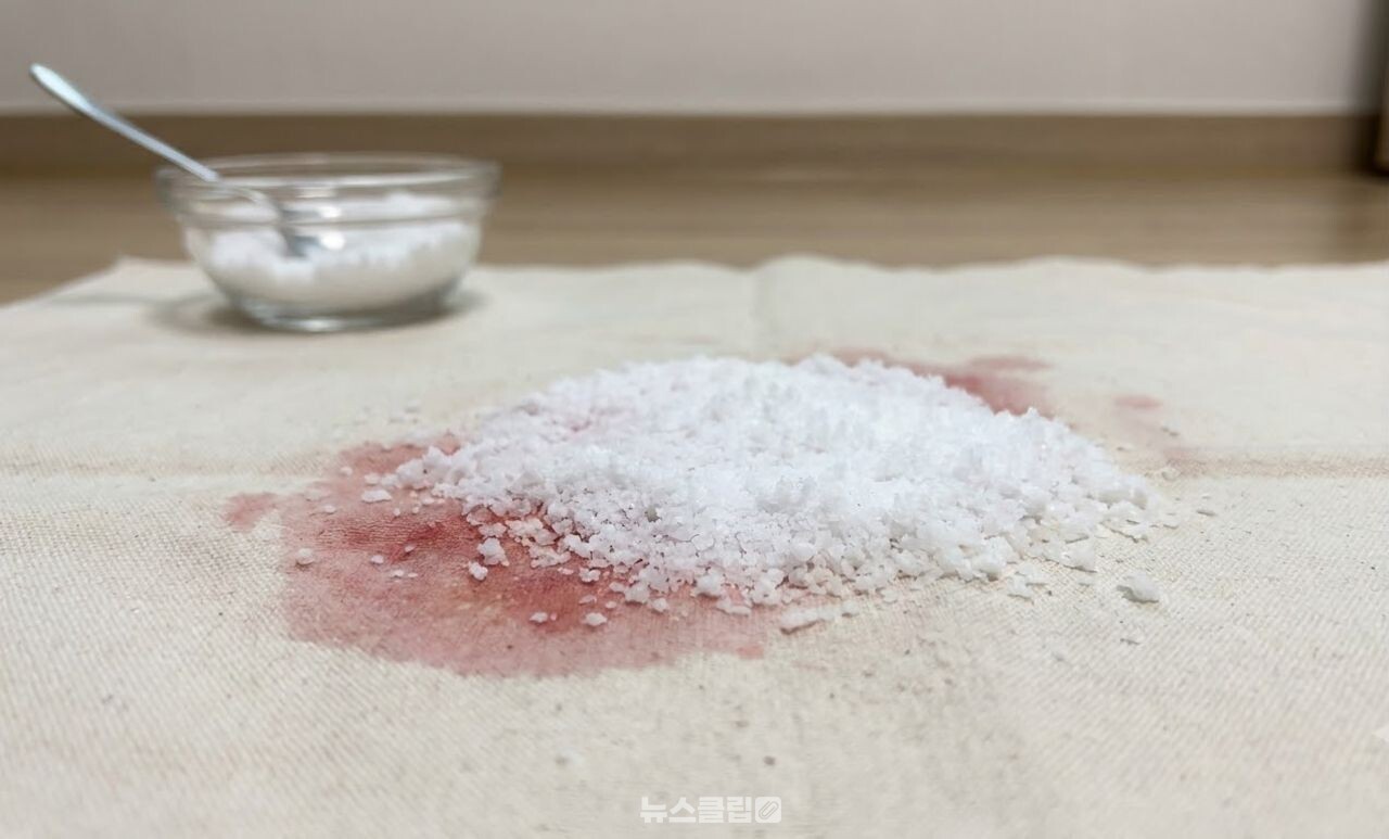 레드와인 얼룩 제거 / 기사 이해를 돕기 위한 AI 이미지