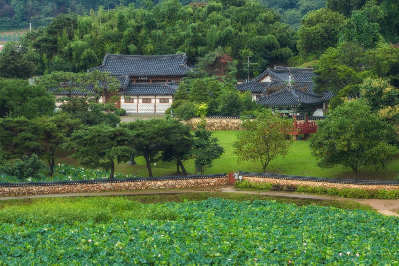 관곡지 / 한국관광콘텐츠랩-정규진
