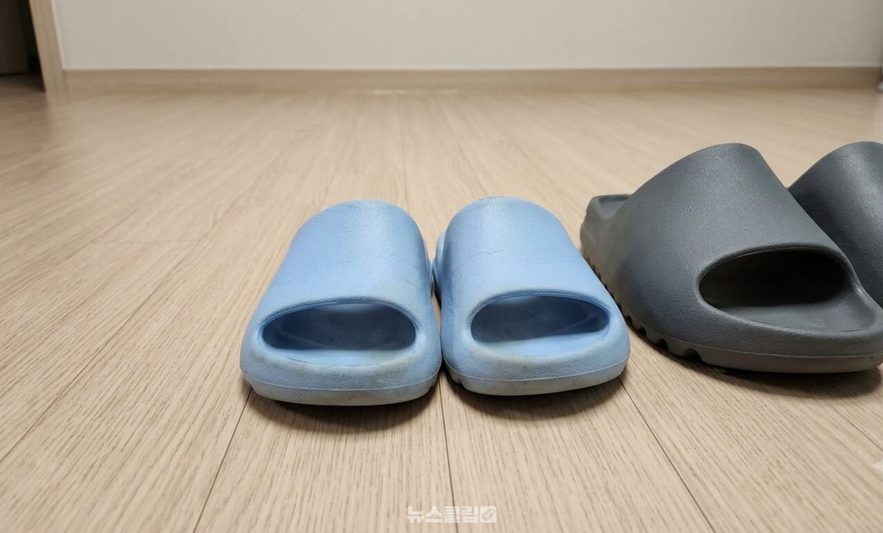 여름 슬리퍼 / 기사 이해를 돕기 위한 AI 이미지