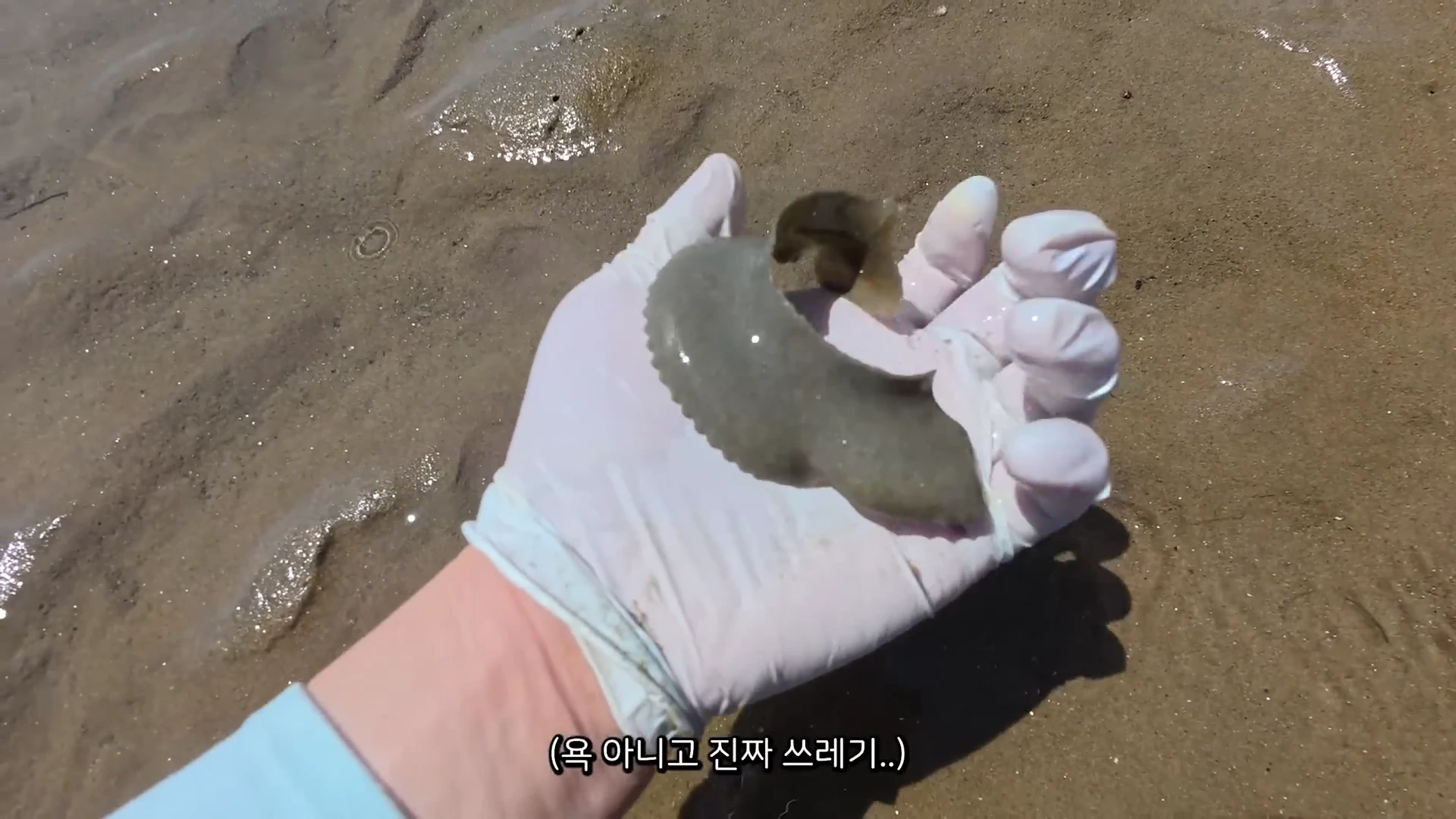 흰 장갑을 낀 손바닥 위에 버려진 플라스틱 조각처럼 보이는 모래 알집이 놓여 있으며, 배경은 갯벌입니다.