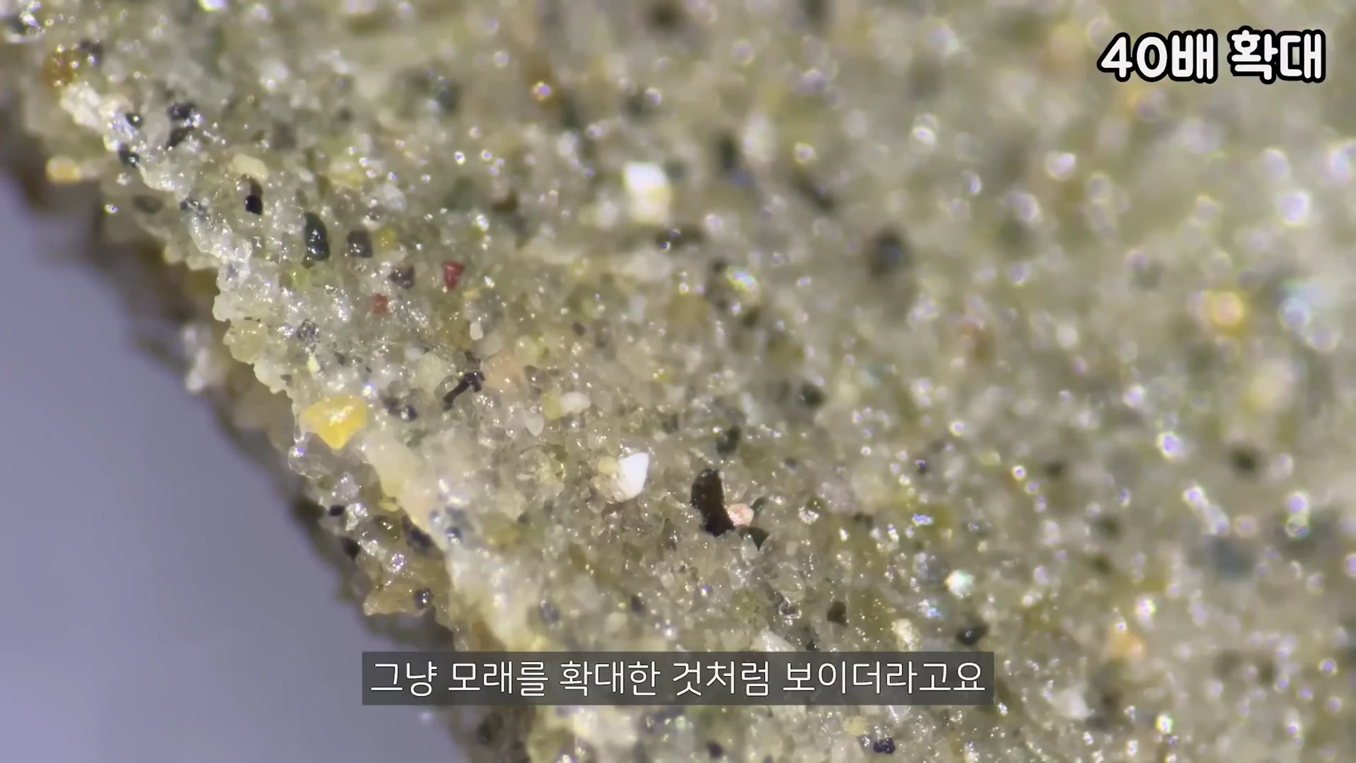 현미경으로 40배 확대하여 촬영한 알집 단면의 모습으로, 알갱이들이 점액질에 뭉쳐져 있는 갯벌 모래 표면이 보입니다.