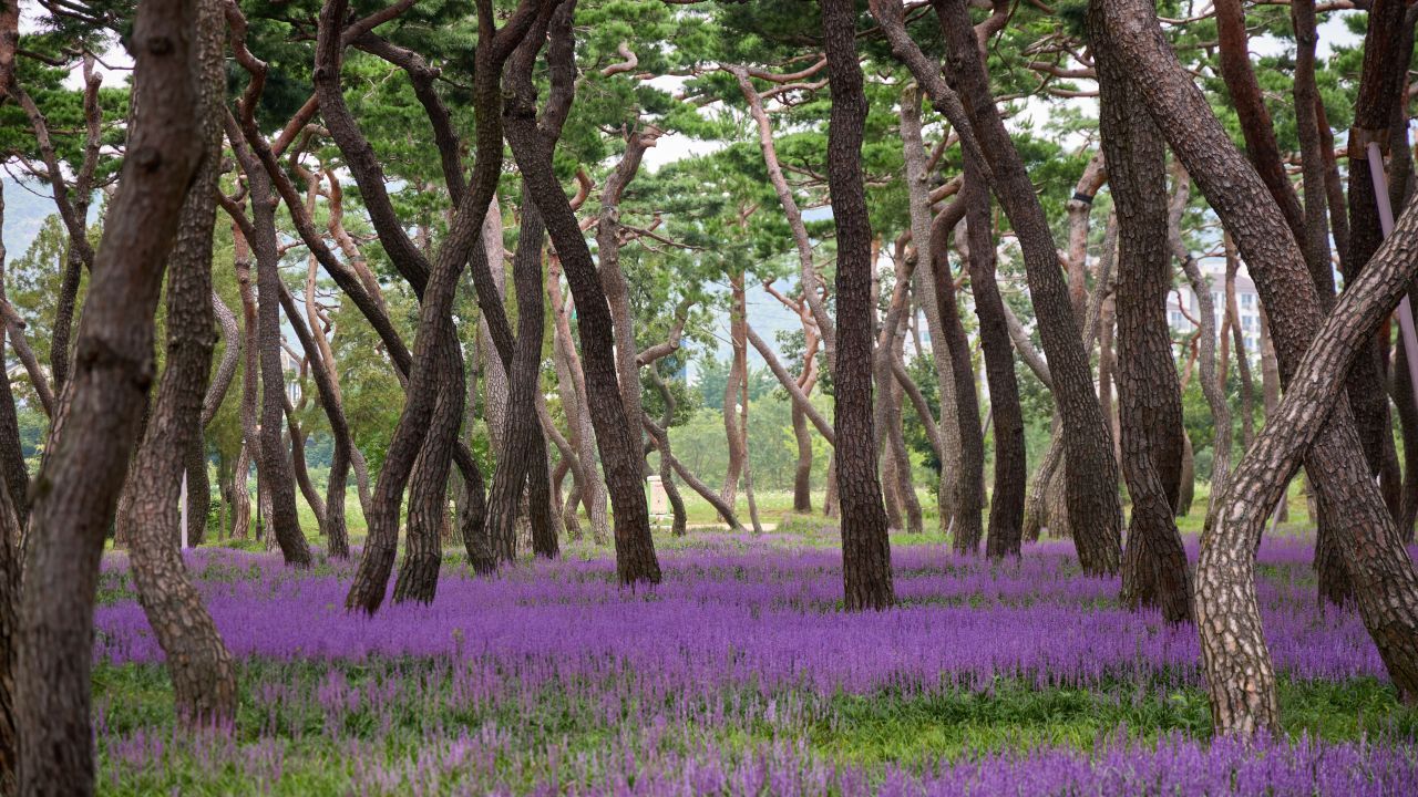 황성공원 / 한국관광콘텐츠랩-김민수