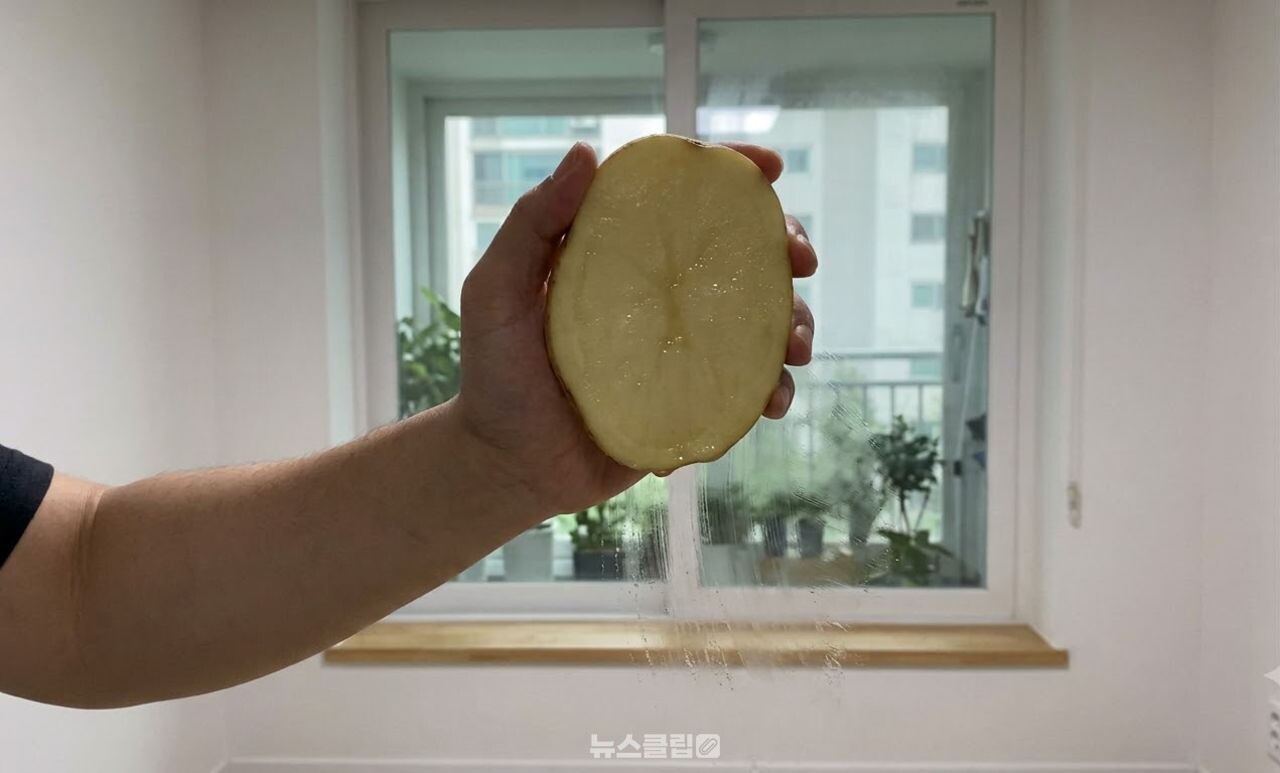 유리창 감자 발수 코팅 / 기사 이해를 돕기 위한 AI 이미지
