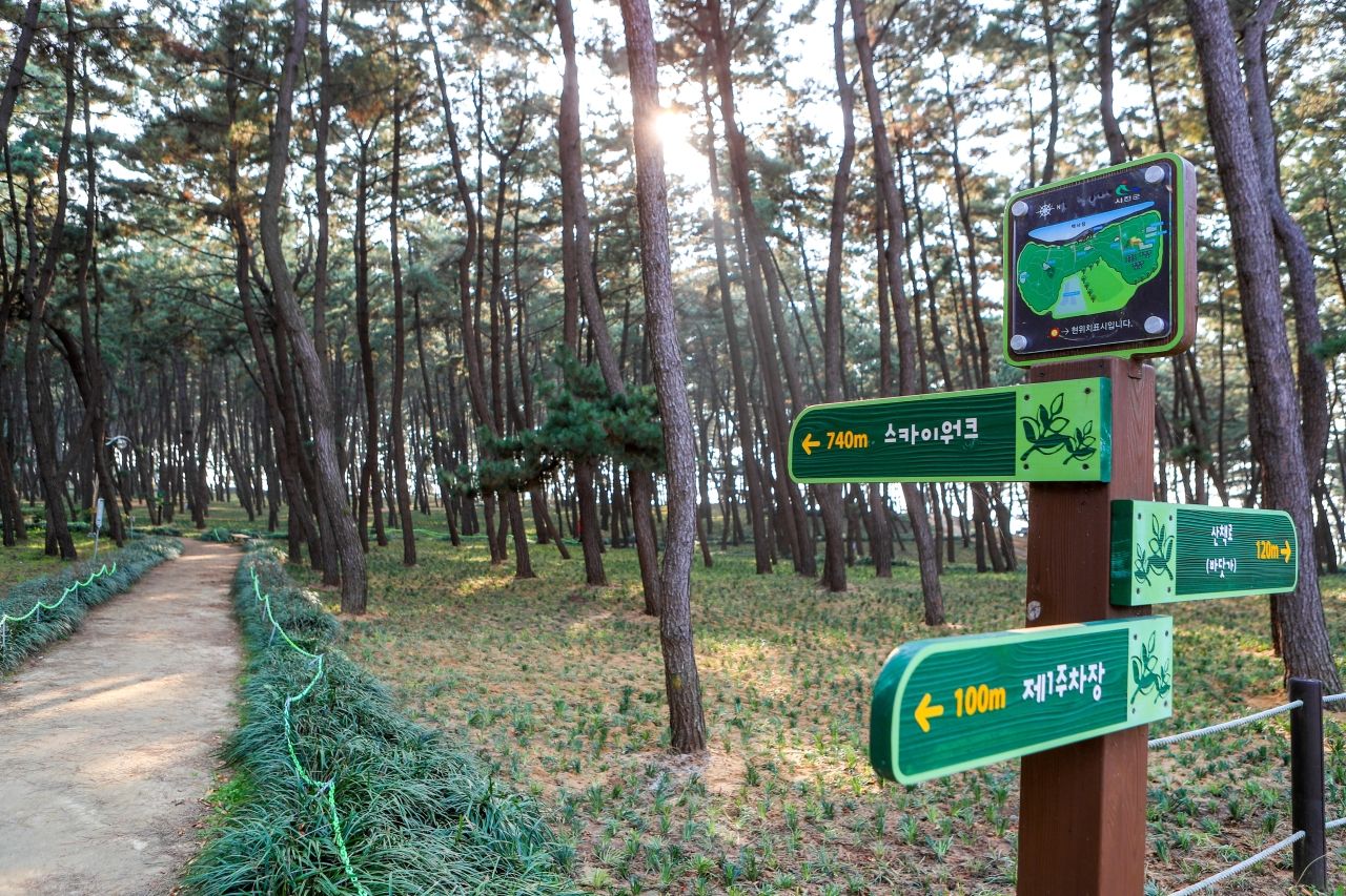 장항송림산림욕장 / 한국관광콘텐츠랩-김지호
