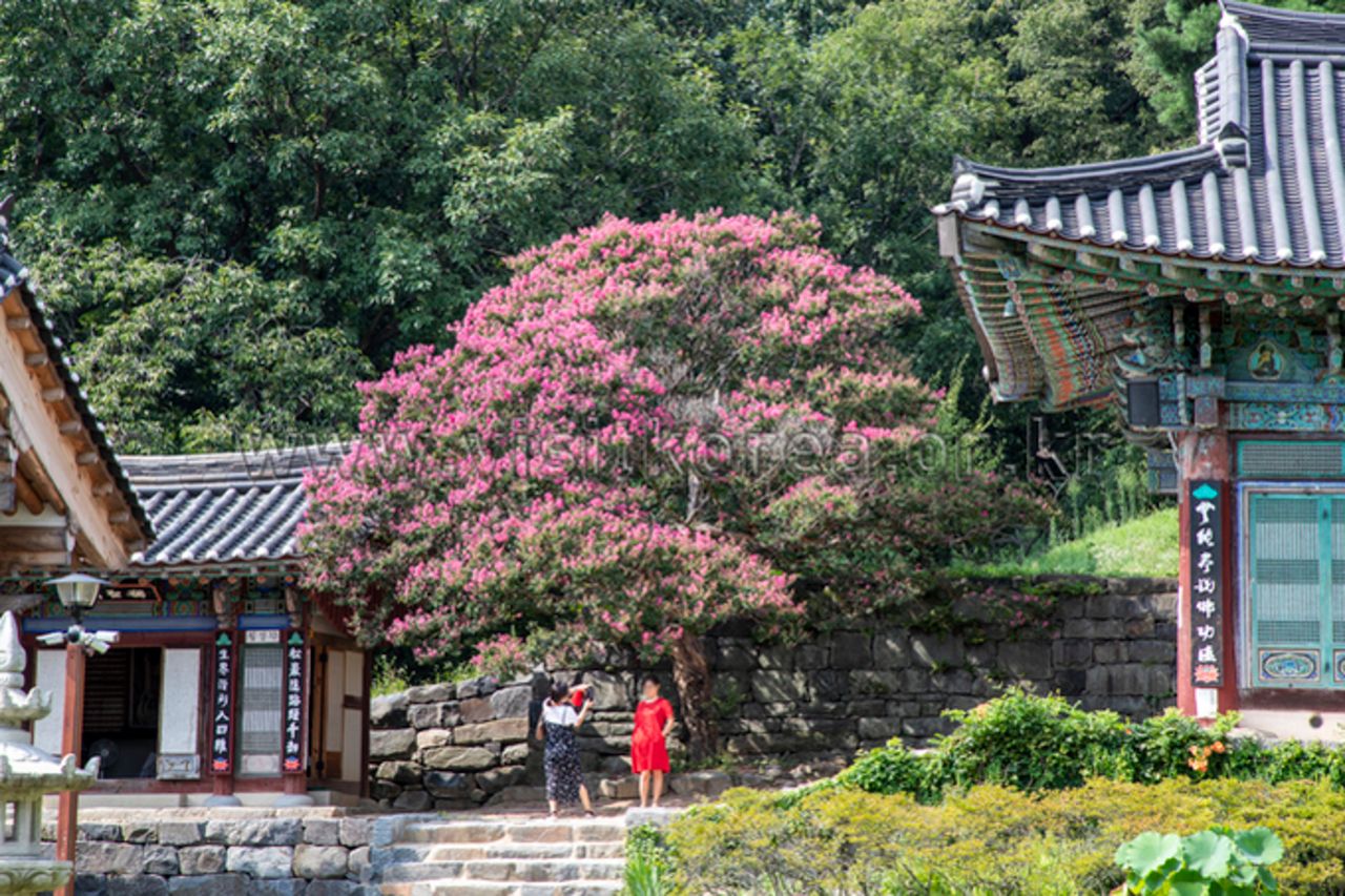 공주 신원사 / 한국관광콘텐츠랩-이범수