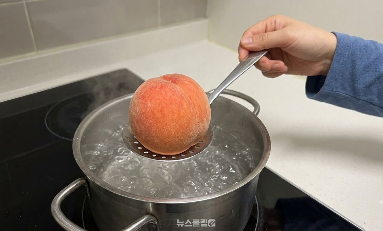복숭아 껍질 벗기기 / 기사 이해를 돕기 위한 AI 이미지