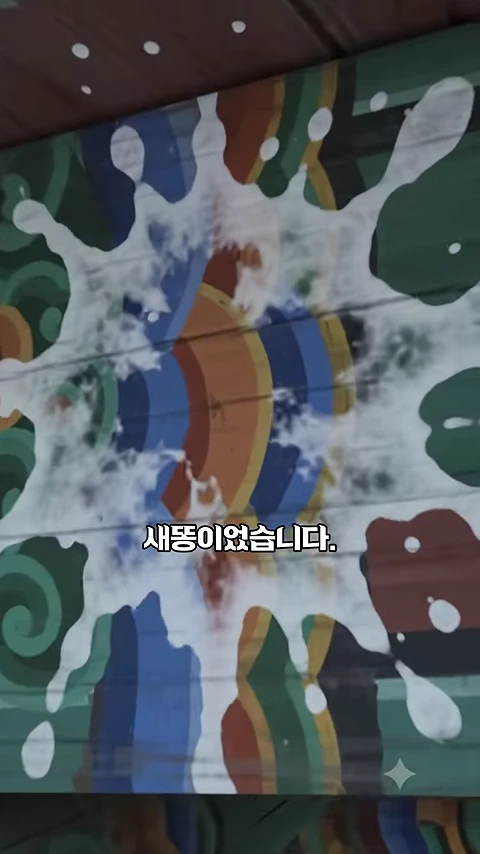 화려한 전통 단청 무늬 위에 커다란 새 배설물 자국이 묻어 있는 모습이 클로즈업된 영상 화면입니다. 화면 중앙에는 '새똥이었습니다'라는 자막이 텍스트로 적혀 있습니다.