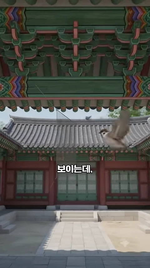 경복궁의 전통 건축물 처마 아래로 얇은 그물이 설치되어 있고, 그 앞을 작은 새 한 마리가 날아 지나가는 모습이 담긴 영상 캡처 화면
