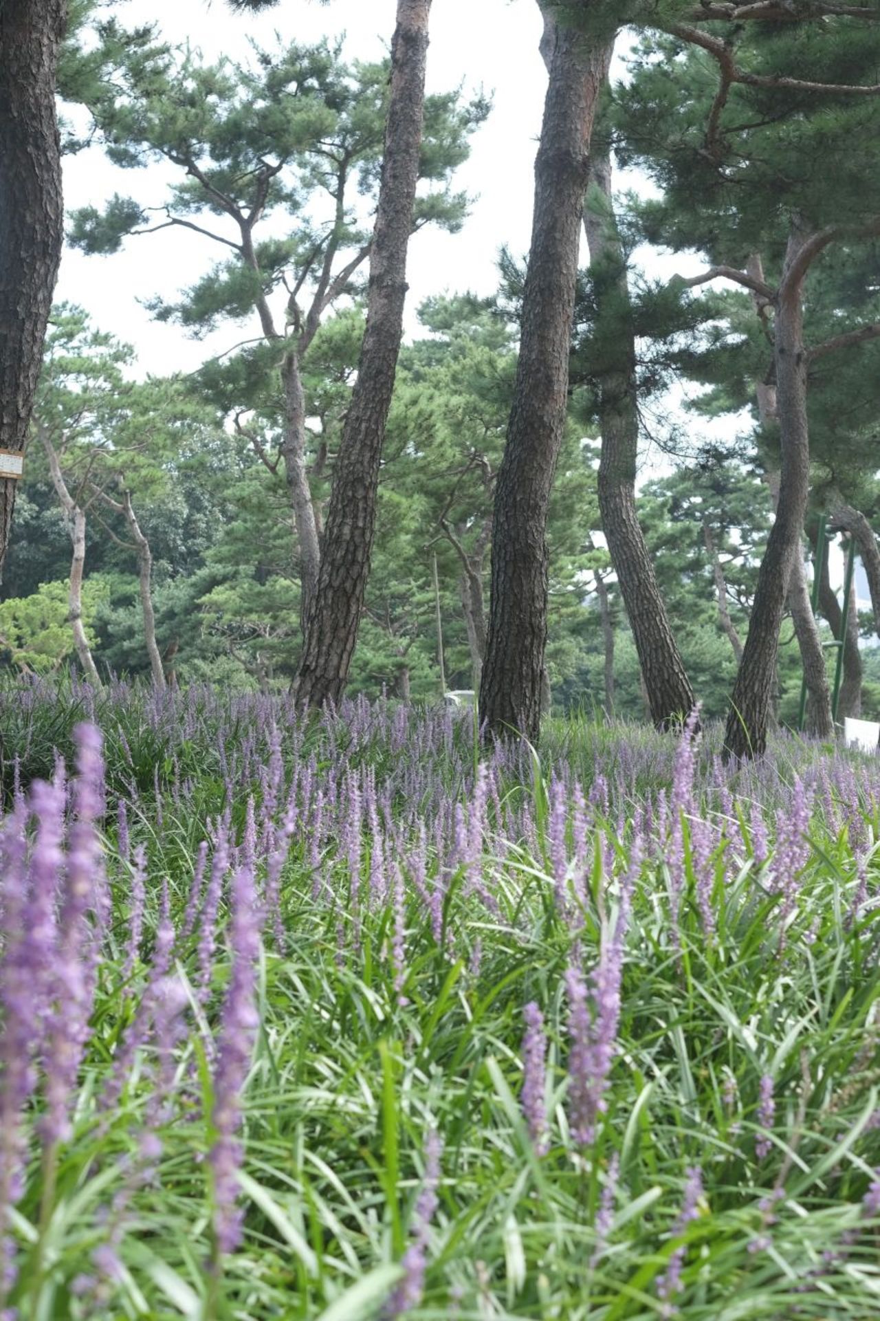 수원 노송공원 / 한국관광콘텐츠랩-최린
