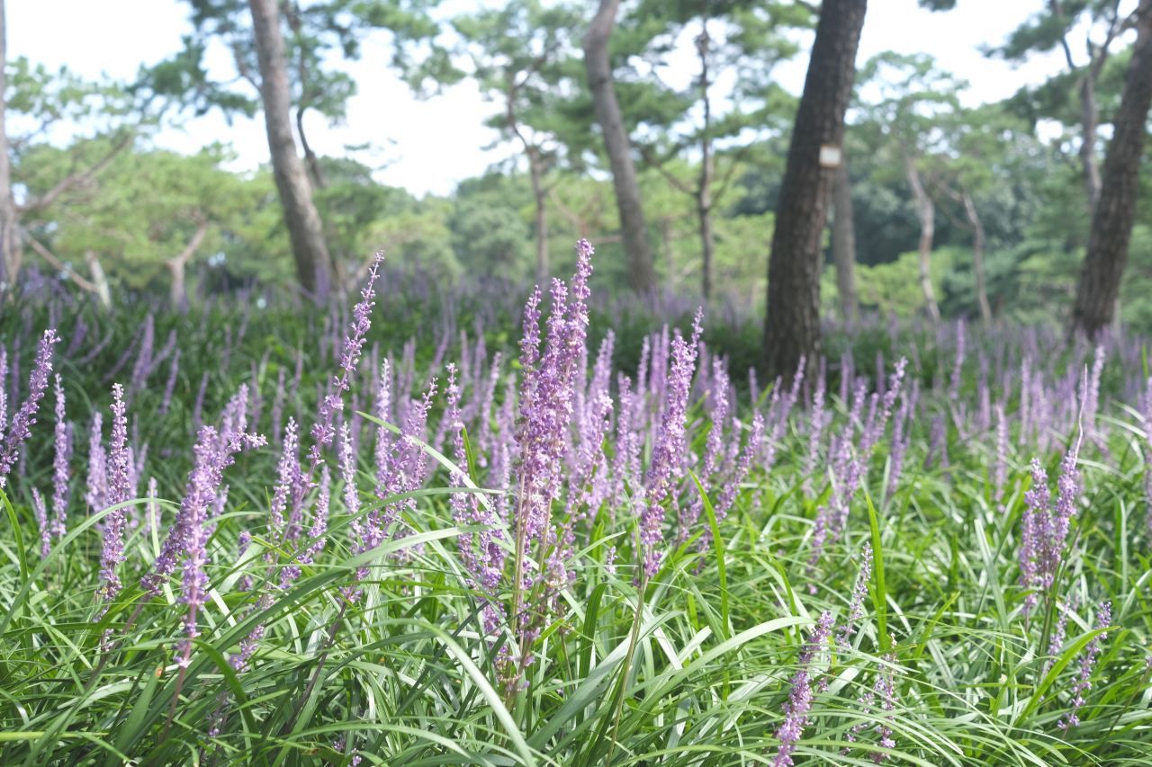 수원 노송공원 / 한국관광콘텐츠랩-최린