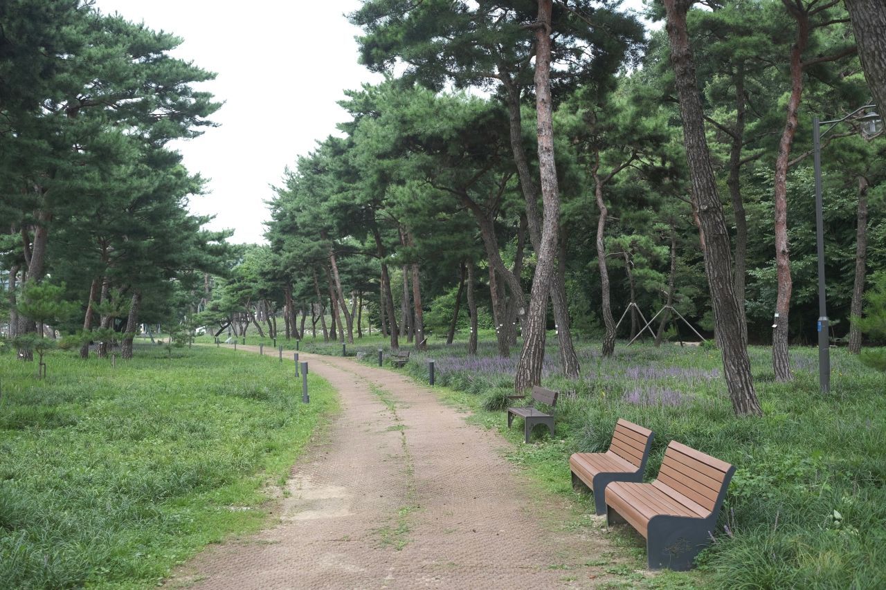 수원 노송공원 / 한국관광콘텐츠랩-최린
