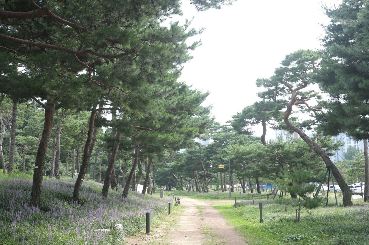 수원 노송공원 / 한국관광콘텐츠랩-최린